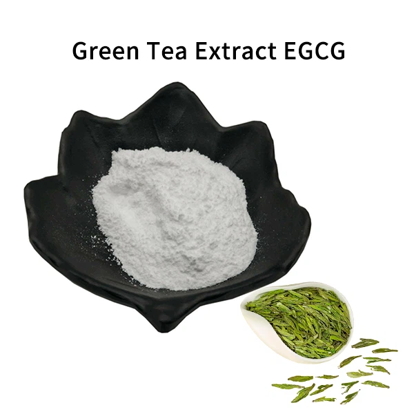 Екстракт от зелен чай EGCG